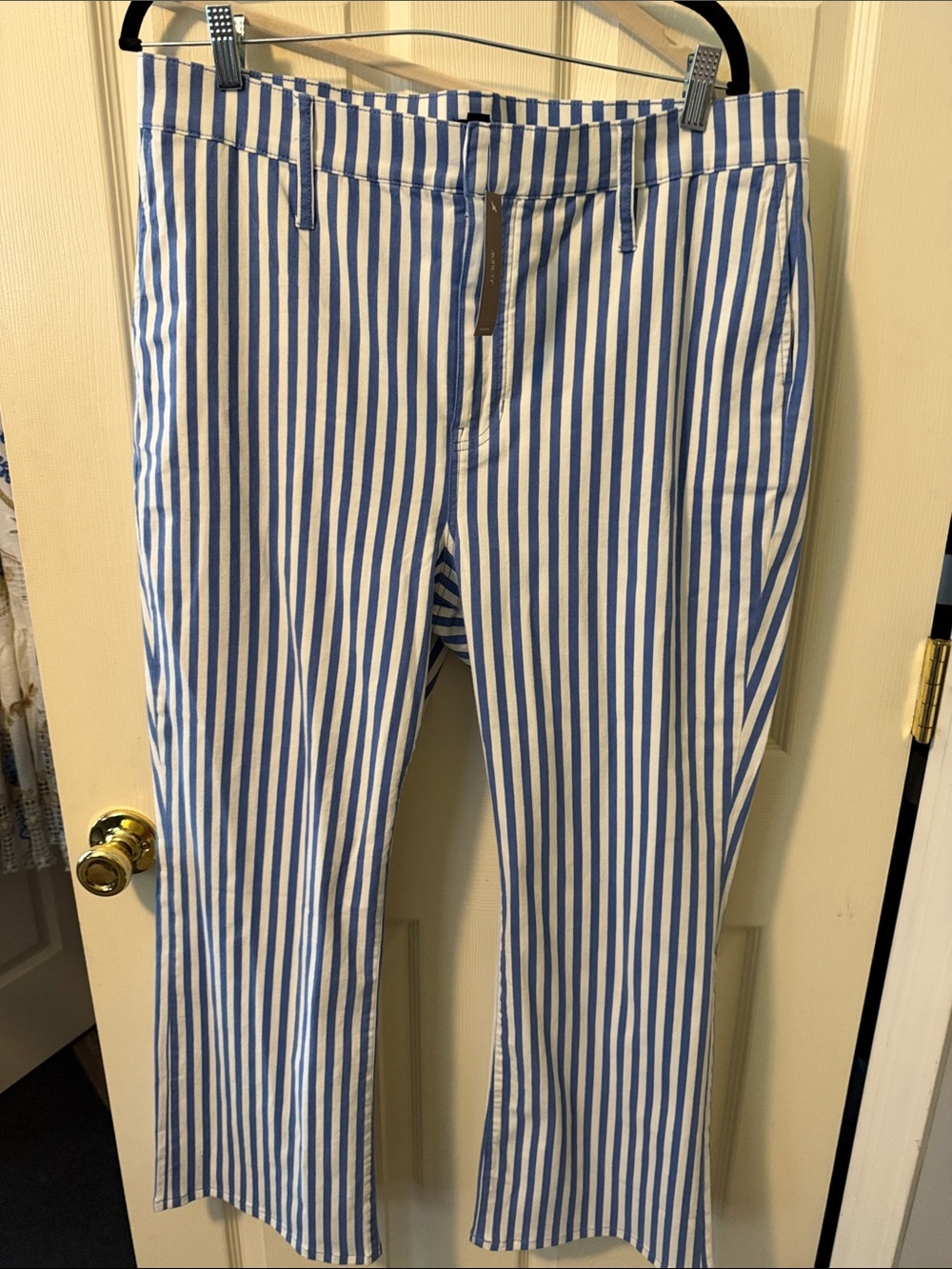 J. Crew Blue & White Striped chino Pants